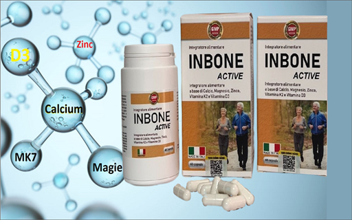 INBON3 (1).png